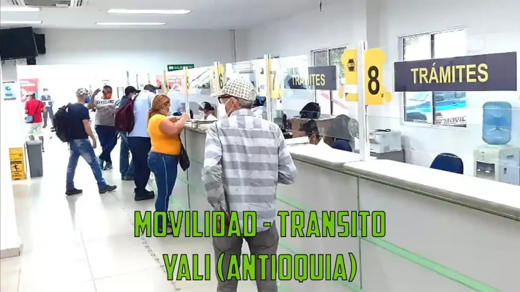 Movilidad transito Yali